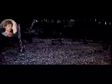 リングを見るセイキン