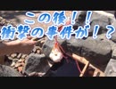 カラスに温泉卵を食われる！？（北海道札幌市南区定山渓）