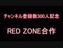 RED ZONE Collaboration