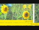 【C94】『黄花』クロスフェード【YURiCa/花たん】