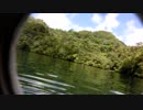 ジェリーフィッシュレイク（Jellyfish Lake、水母湖）２