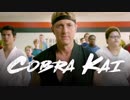 祝 ベスト・キッド復活記念翻訳 Cobra Kai Thoughts with James  Mike