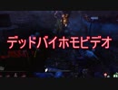 デッドバイホモビデオその２
