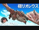 ゆっくりと振り返る極リオレウス狩猟戦 #FF14