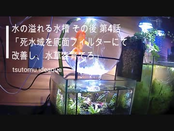 水の溢れる水槽 その後 第4話 ［死水域を底面フィルターにて改善し、水草を育てろ」