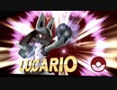 ８　１　０　の　勇　者.lucario810