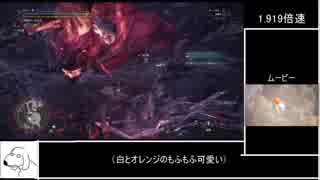 ベヒーモスソロ　ガンランス　31’03’’61