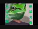 野獣先輩カエル説.frog