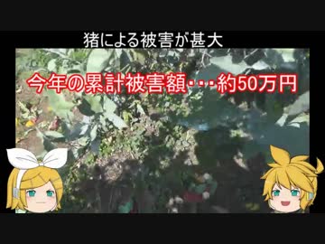 元産直店員の脱サラ農業　第十九回