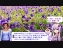 VOICEROIDとサカつく3 vol.3 うｐ主怒る
