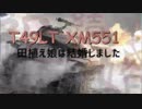 【WoT10.2】田植え娘のスカウト日記2018【T49LT】