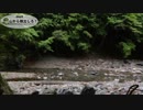 【ホモと学ぶ】拾った棒で魚を突く 遭難した山から脱出＃２　survaival in japan