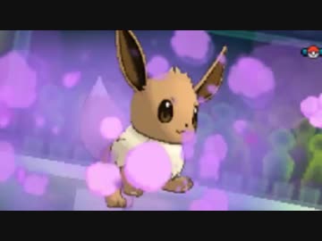 【ポケモンUSM】イーブイを愛でるレッツゴー！ピカブイ大会