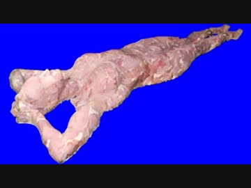生肉と化した先輩BB.meat使用例付