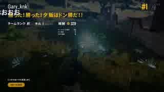 GaryのPUBG.「ﾄﾞﾝ勝、ニコ生（H30.8.10）」
