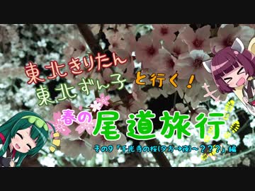 【東北きりたん】きりたん＆ずん子と行く！春の尾道旅行 その9「千光寺の桜（夕方→夜）～？？？」編【東北ずん子】