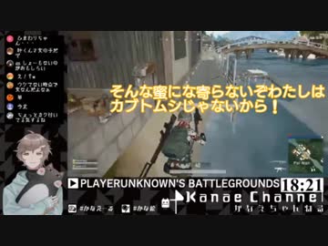 例の芸を通じて男を認め合ったかなかなすももんと、性別不詳が揺らぐひまわりちゃん