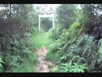 童心に帰って行ってみた　愛宕神社