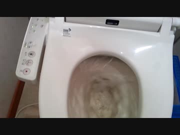 深夜トイレに出たゴキをトイレに流す