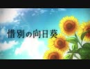 【和音マコ】惜別の向日葵　カバー【和音マコト】