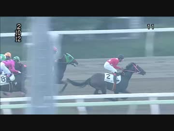 【的場文男騎手 日本新記録達成！】2018/08/12 大井5R