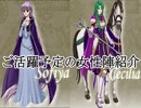 【ロイ＋女性縛り】主に女性が活躍するファイアーエムブレム封印の剣 第１４章