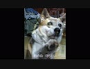 Can I live without you？＜オリジナル＞(再)