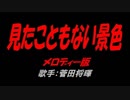 見たこともない景色