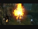 [ダークソウル]初心者による初見な冒険[REMASTERED]その6