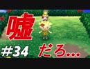 とびだすぜ！どうぶつの森＃３４