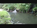 【生海月】なまくらじお【2018.8.16】