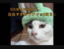 【K志郎】自由すぎるラジオ☆第3回【もちねこ】