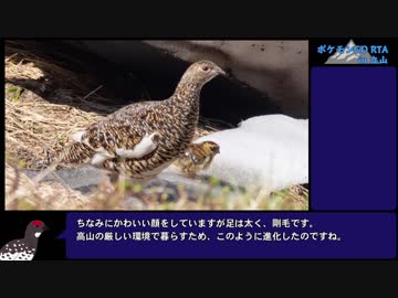 【ゆっくり】ポケモンGO　立山山頂攻略RTA + 室堂山＆浄土山登山欲張りセット（前編）