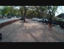 小斎直也がニューデリーの公園を散策！FINAL