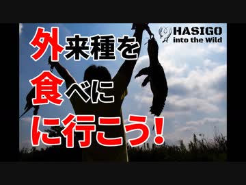外来種を食べに行こう！【予告】