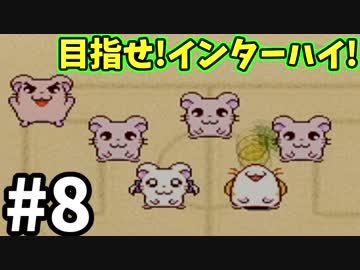 とっとこ白熱!パインサッカー-とっとこハム太郎3 ラブラブ大冒険でちゅ-#8