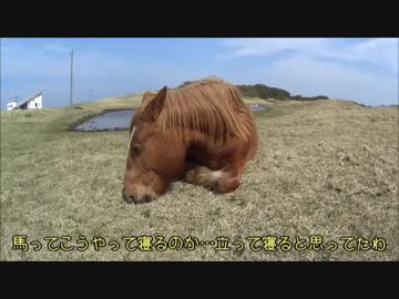 【V-Strom1000】失恋した男が海を目指してツーリング【Part3】