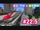 【A列車で行こう9】美女と野獣と都市開発 #22.5「特急Trysail 車窓」【北京橋】