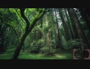 Part7/7 目と耳と心に優しい修正版