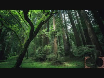 Part7/7 目と耳と心に優しい修正版