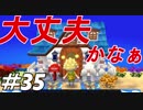 とびだすぜ！どうぶつの森＃３５