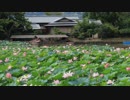 夏の京都(2018/8/13)