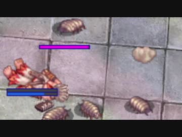 【RO】昔大好きだったゲームをゼロから冒険実況part33