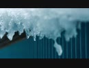 なごり雪/イルカ　歌ってみた【Solar】