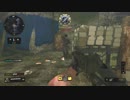馬鹿凸ショットガンナーが行く CoD:BO4β part1