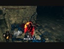 【ダークソウルR】逢い死会う侵入４