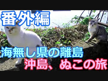 【麺へんろ】番外編 海無し県の離島 沖島、ぬこの旅【古都＆湖国編 ４日目】