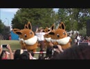 ★【ピカチュウ大量発生中2018　イーブイの大行進・退場シーン】