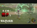 【実況】ゼルダ童貞による ゼルダの伝説BotW（ブレスオブザワイルド）~ロッド魔法攻撃最強すぎだろw~Part30