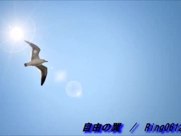 自由の翼